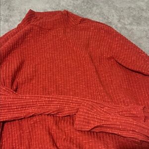 Wild Fable Red Turtleneck Sweater